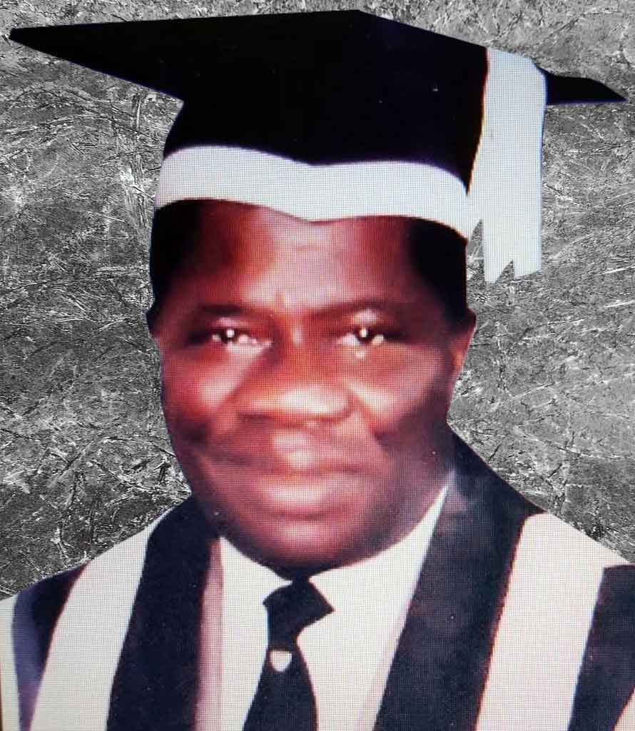 Professor Theodore Idibiye Francis